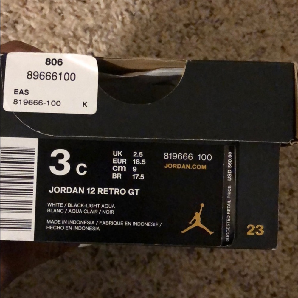3C Aqua Jordan 12